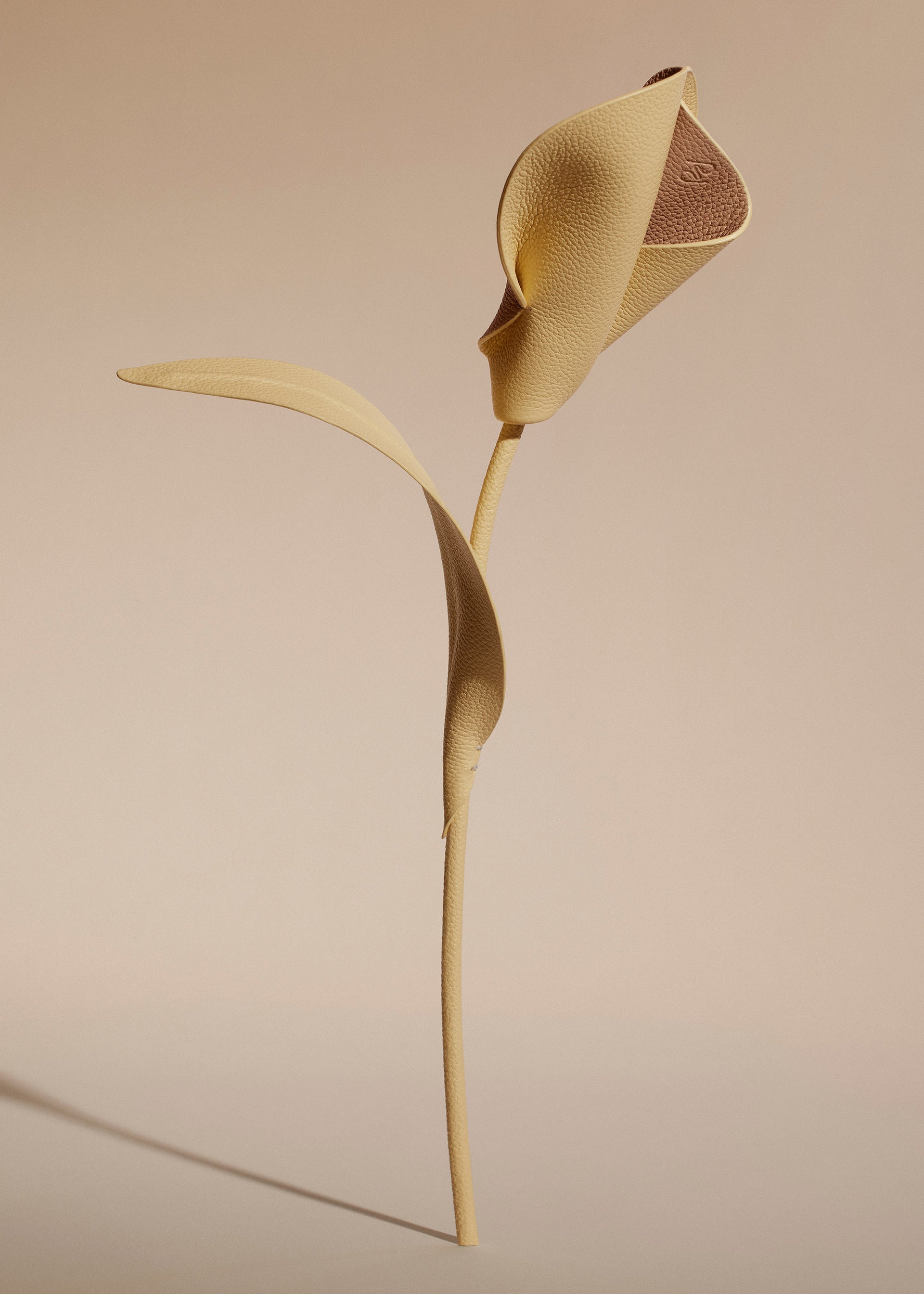 フラワー Pili - デュオ ウィート