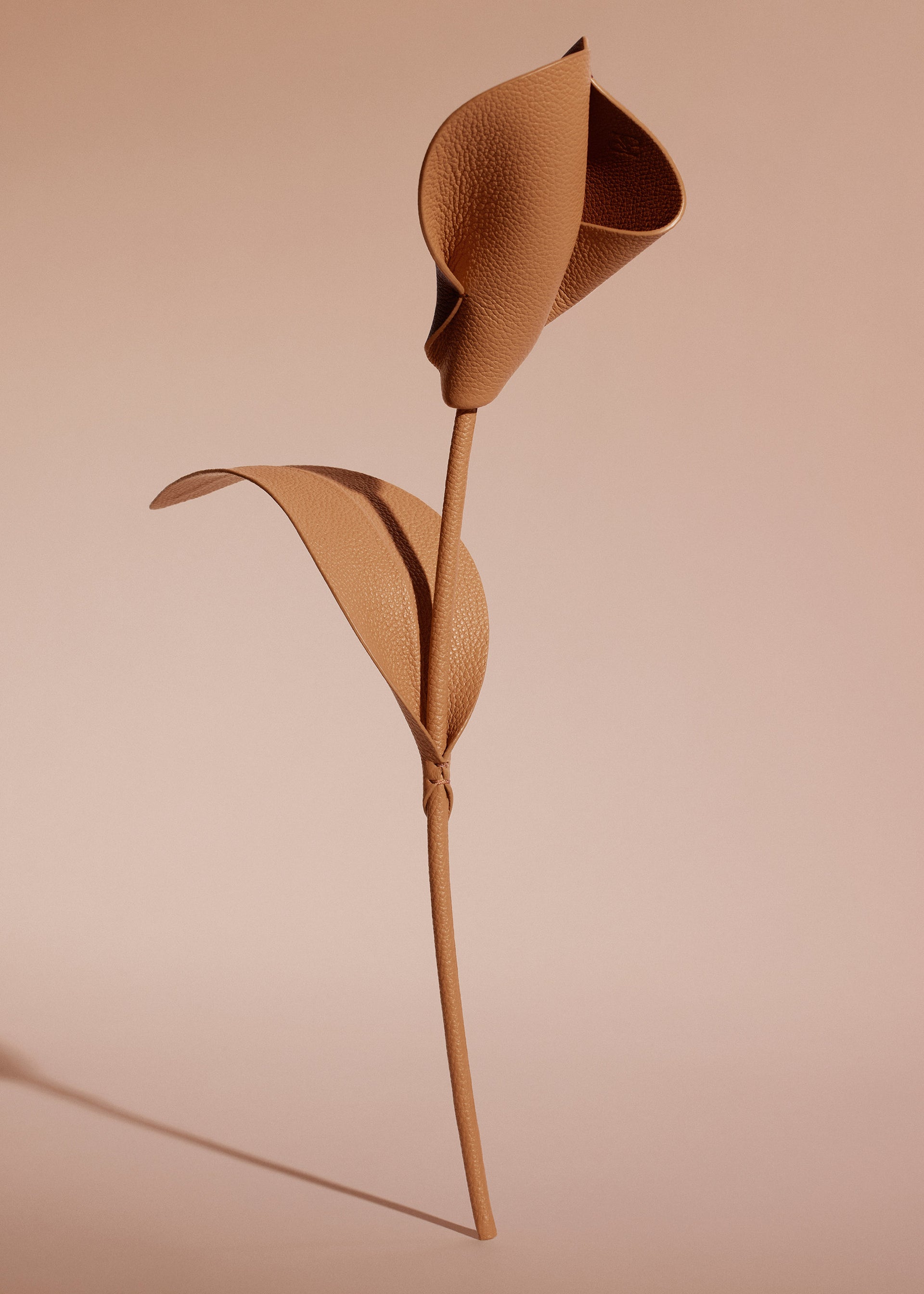 フラワー Pili - デュオ タン