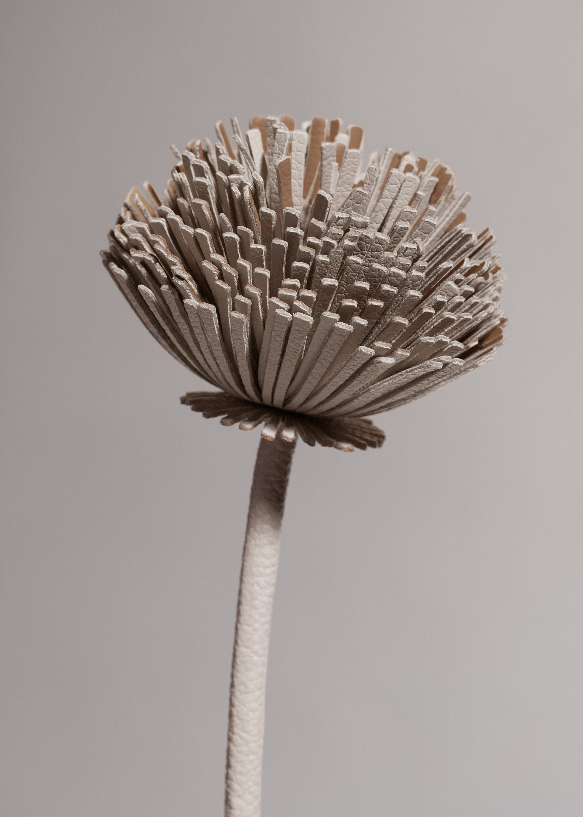 Tul レザーフラワー - チョーク