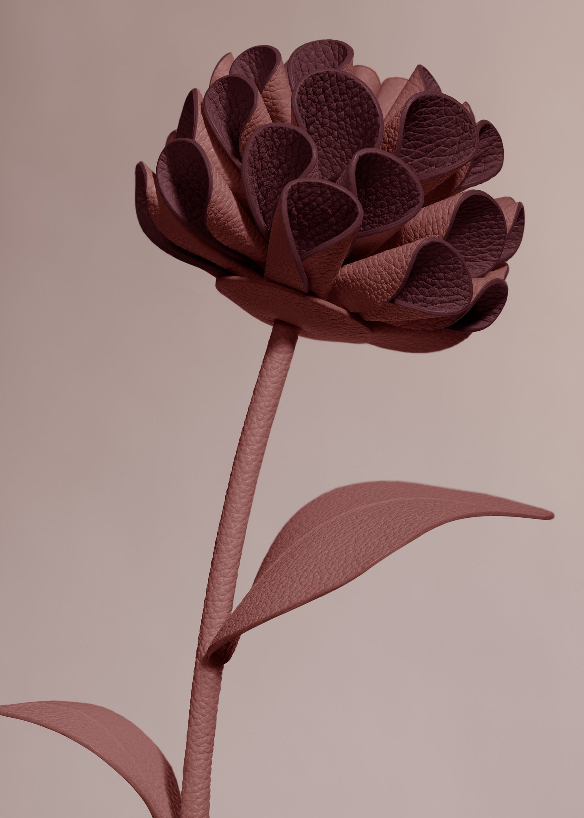 Dalium レザーフラワー - ライラック