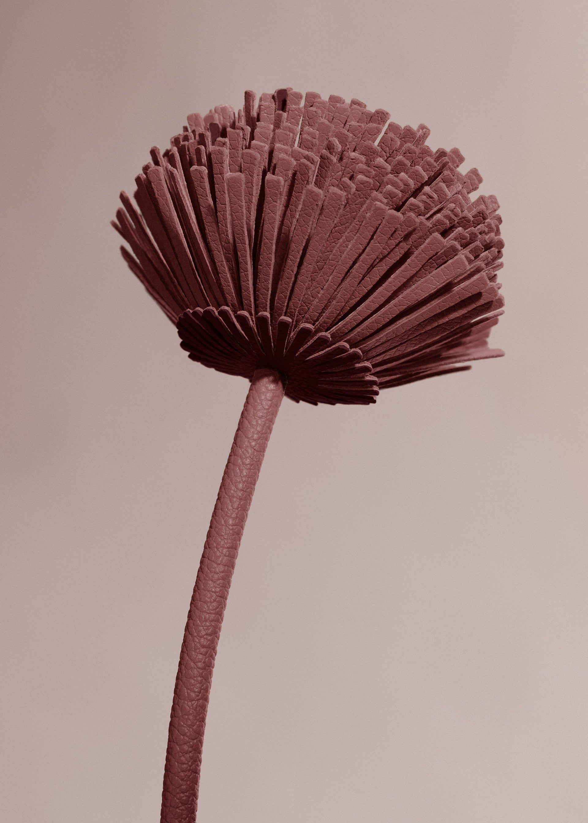 Tul レザーフラワー - ライラック