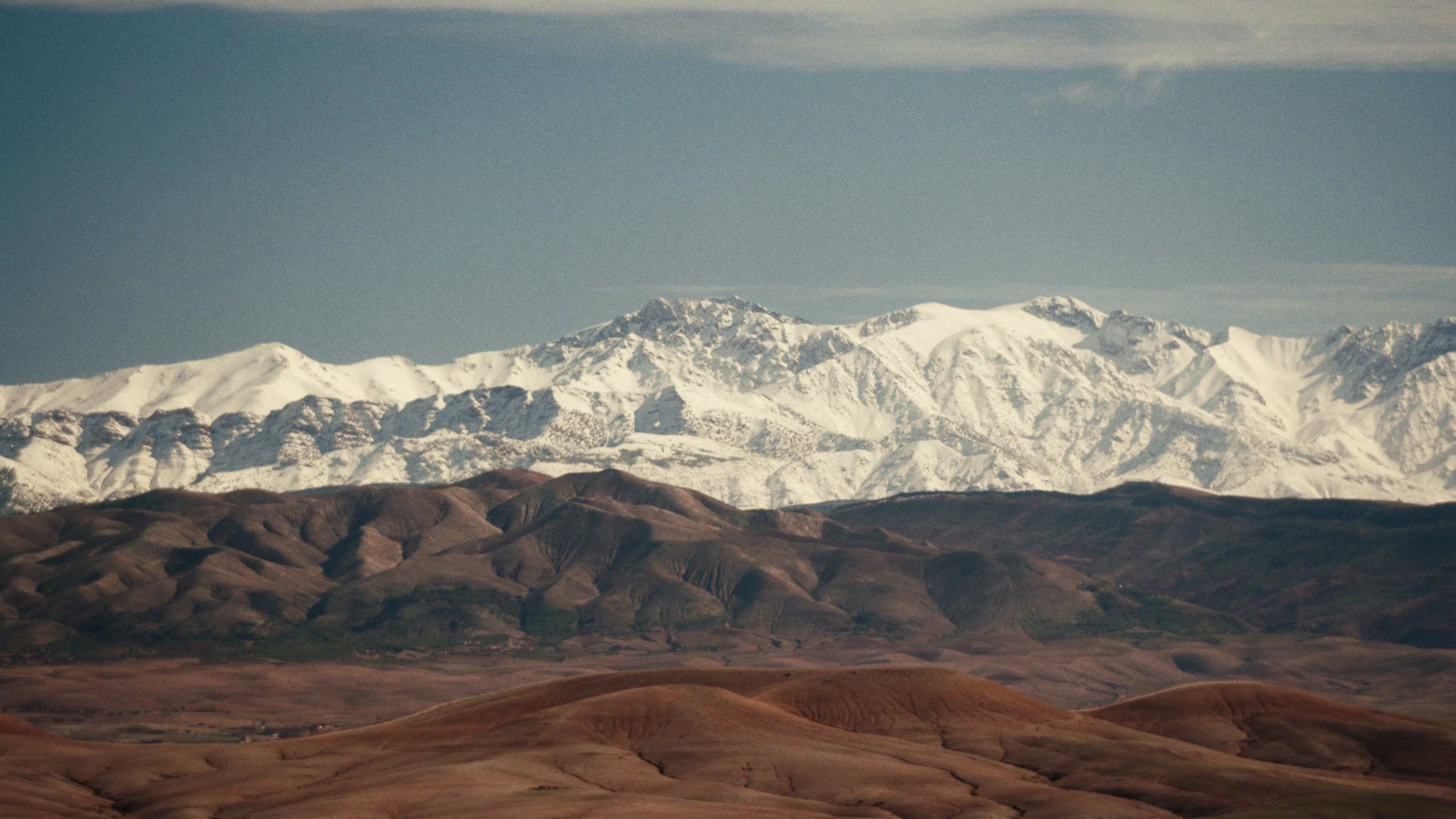 Polène（ポレーヌ）日本公式オンラインストア